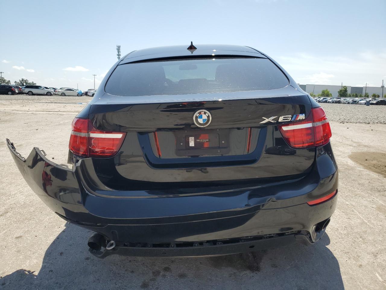 2014 BMW X6 xDrive35I VIN: 5UXFG2C57E0H11289 Lot: 50985425