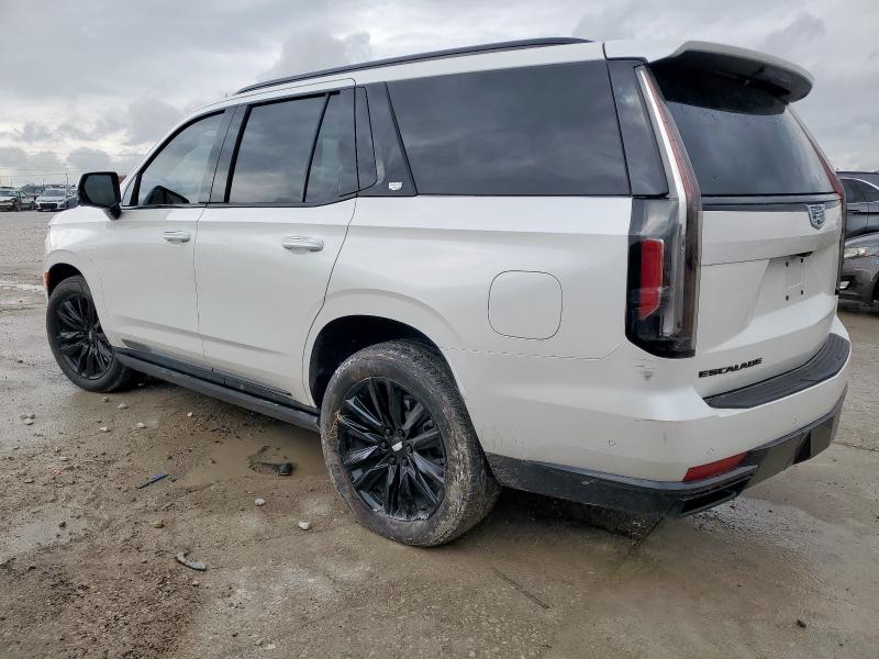  CADILLAC ESCALADE 2024 Biały