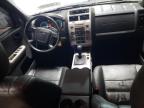 2009 Ford Escape Xlt de vânzare în Elgin, IL - Side