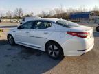 2013 Kia Optima Hybrid на продаже в Rogersville, MO - Rear End