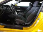 Lexington, KY에서 판매 중인 2017 Ford Mustang  - Normal Wear