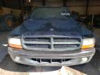 1999 Dodge Dakota  for Sale in Greenwood, NE - Rear End