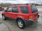 2002 Ford Escape Xlt en Venta en Louisville, KY - Hail