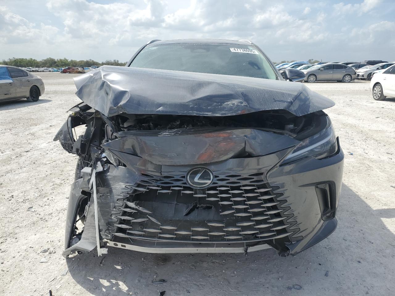 2024 Lexus RX - Image 5