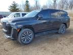 2023 Cadillac Escalade Sport Platinum на продаже в Davison, MI - Front End