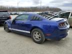 2013 Ford Mustang  for Sale in Louisville, KY - Front End