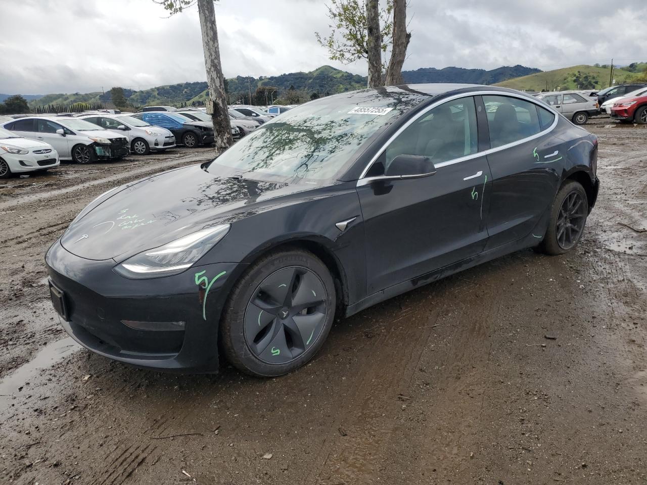 2019 Tesla Model 3 zu verkaufen in San Martin, CA - All Over
