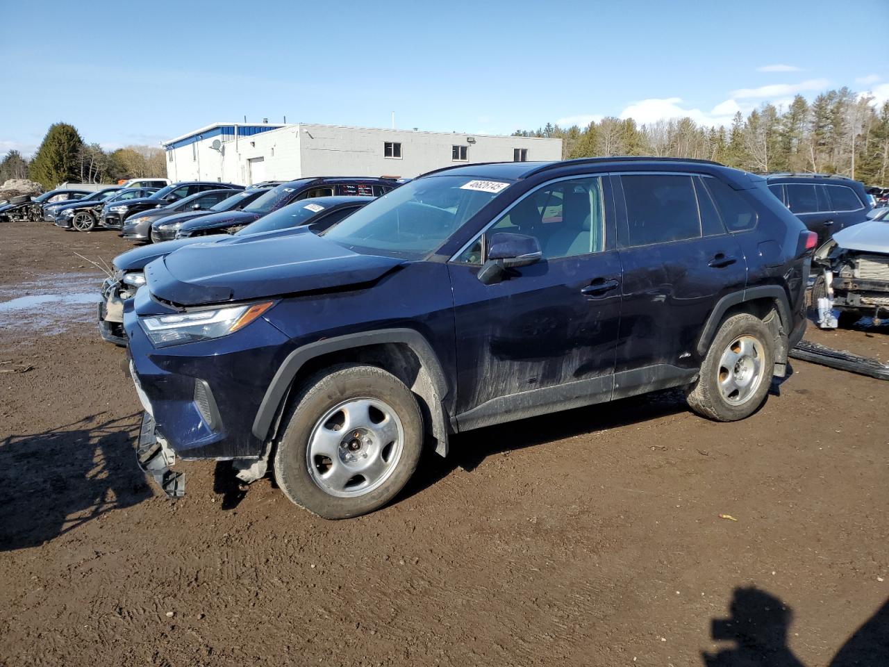 2023 Toyota Rav4 Xle للبيع في Cookstown، ON - Front End
