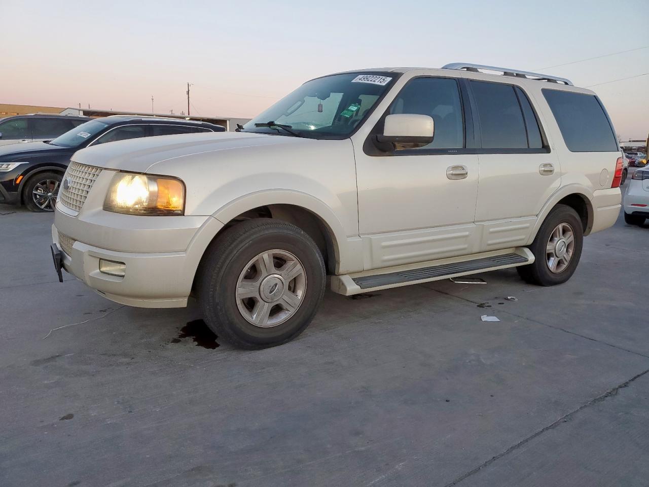 2005 Ford Expedition Limited на продаже в Grand Prairie, TX - Hail