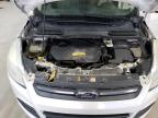 2013 Ford Escape Se للبيع في Rogersville، MO - Mechanical