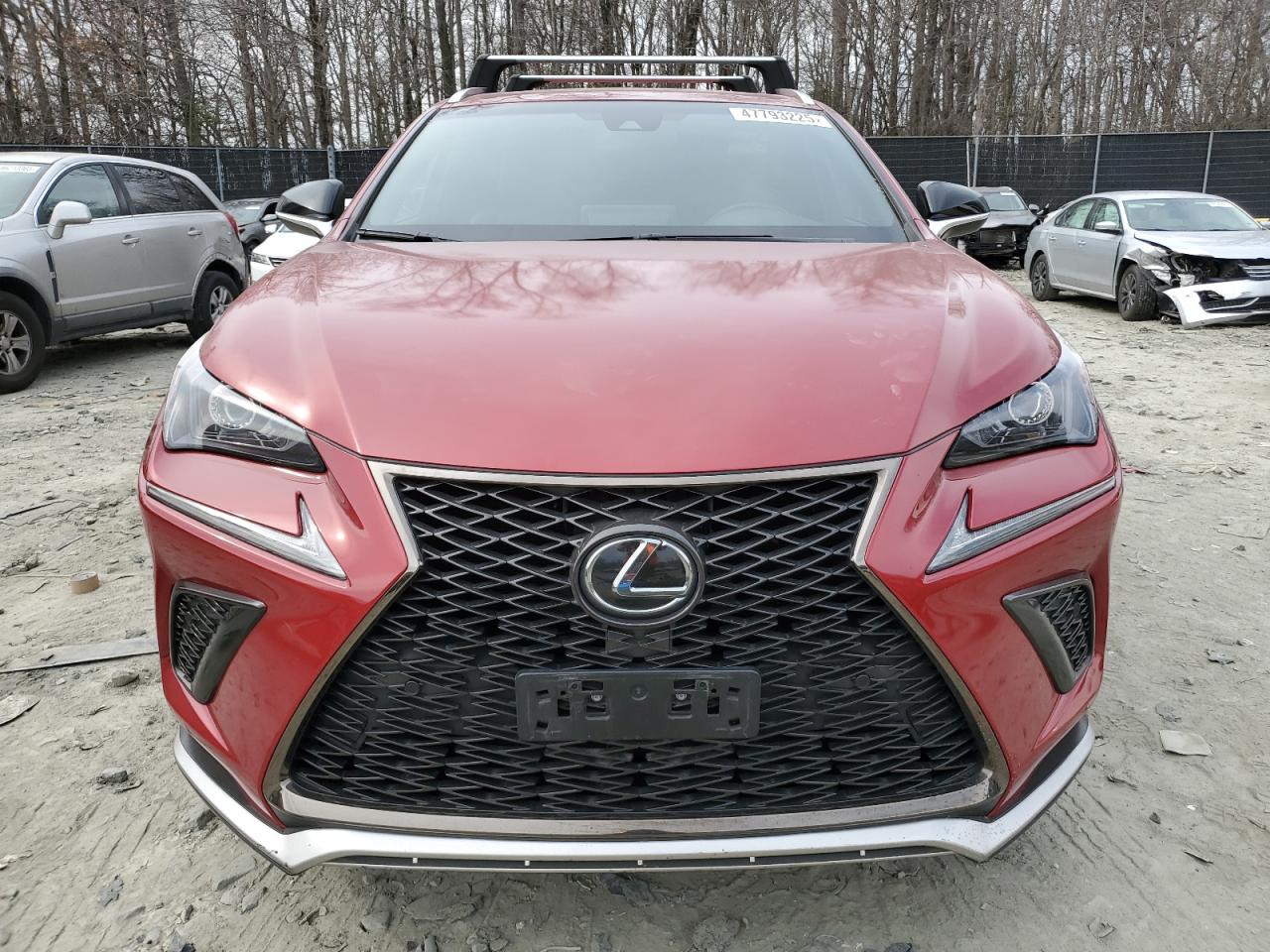 2019 Lexus NX - Image 5