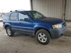 2007 Ford Escape Xlt for Sale in Fort Wayne, IN - Normal Wear