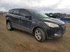 2013 Ford Escape Se for Sale in Brighton, CO - Rear End