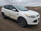 2013 FORD ESCAPE TITANIUM à vendre chez Copart AB - CALGARY