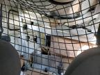 2017 Ram Promaster City Slt zu verkaufen in Louisville, KY - All Over