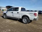2013 Ford F150 Supercrew for Sale in Helena, MT - Side