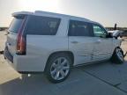 2016 Cadillac Escalade Premium იყიდება Grand Prairie-ში, TX - Front End