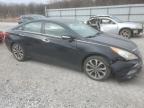 2013 Hyundai Sonata Se იყიდება Prairie Grove-ში, AR - All Over