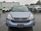 2011 Honda Cr-V Se for Sale in Vallejo, CA - Rear End
