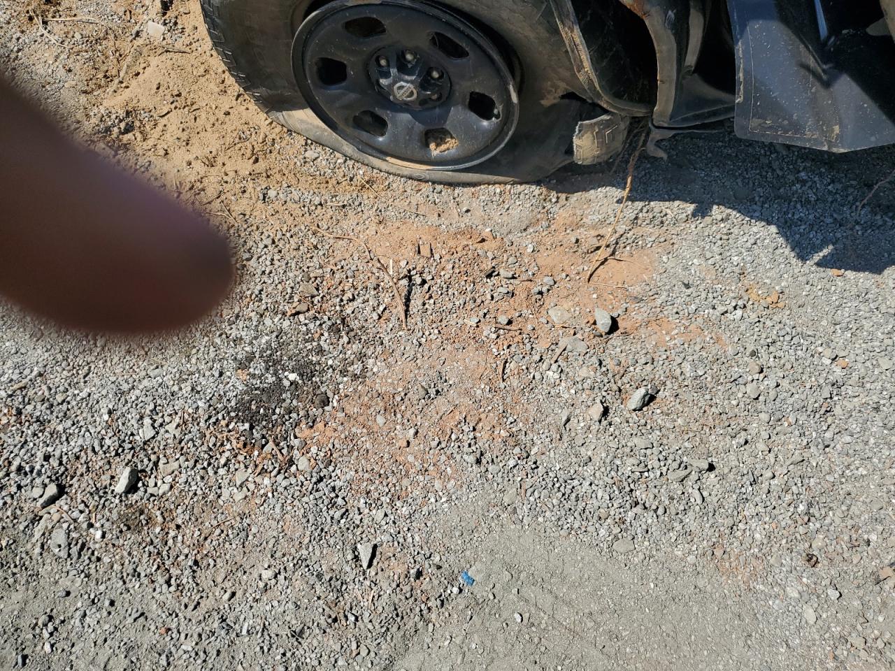 2006 Nissan Xterra Off Road VIN: 5N1AN08W16C527384 Lot: 76868334