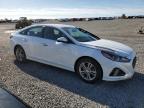 Earlington, KY에서 판매 중인 2018 Hyundai Sonata Sport - Hail