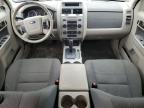 2009 Ford Escape Xlt for Sale in Wayland, MI - Front End