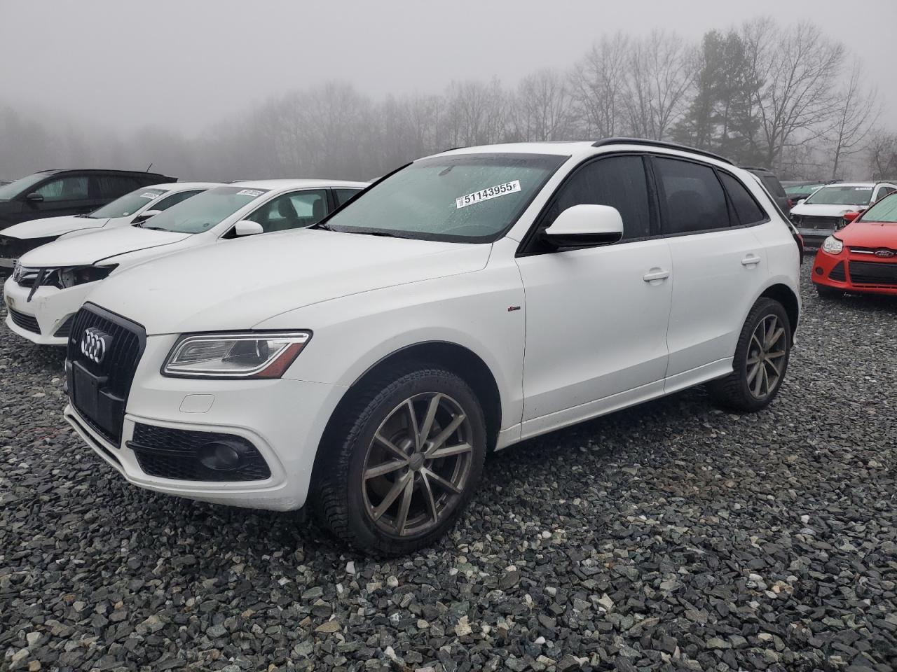 2015 Audi Q5 Premium Plus للبيع في North Billerica، MA - Rear End