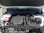 2025 Hyundai Santa Fe Calligraphy for Sale in Lawrenceburg, KY - Front End
