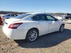 2011 Nissan Maxima S იყიდება Memphis-ში, TN - Front End
