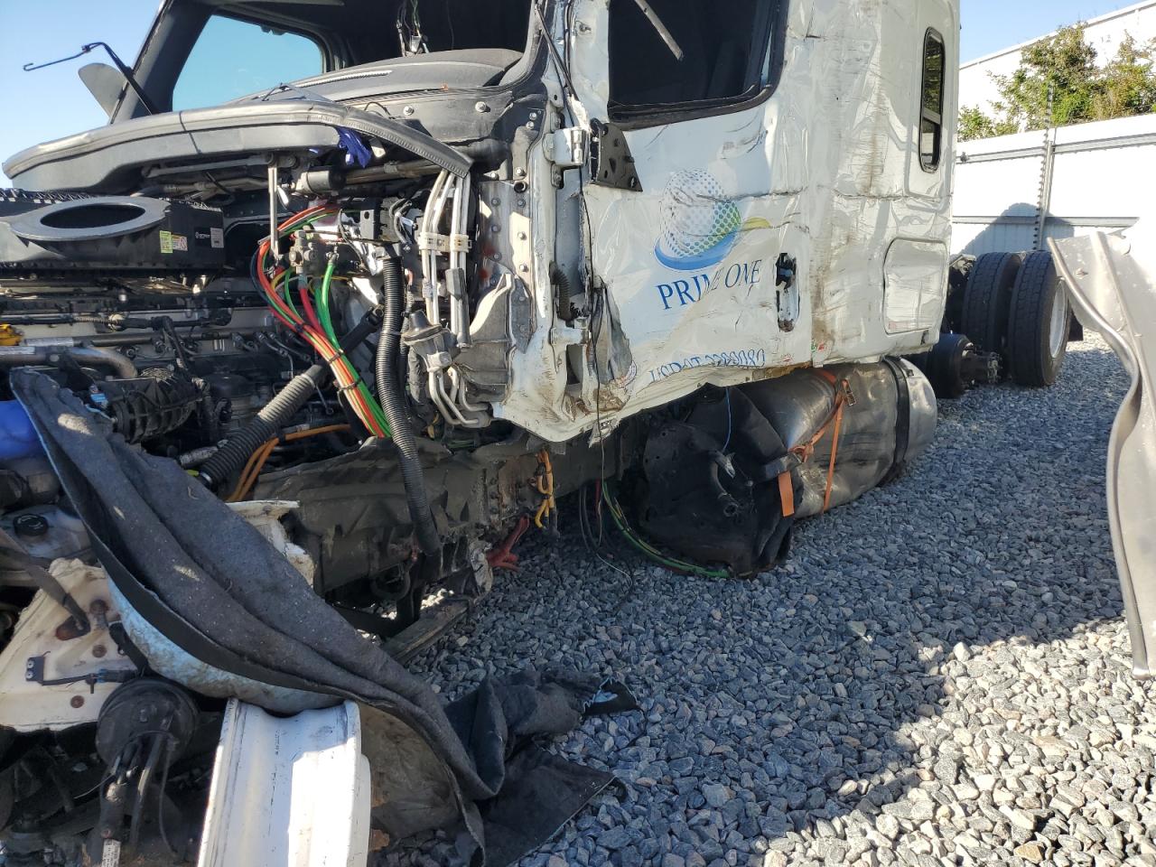 2022 Freightliner Cascadia 126 VIN: 3AKJHHDR9NSNX9562 Lot: 94432165