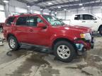 2011 Ford Escape Limited for Sale in Ham Lake, MN - Front End