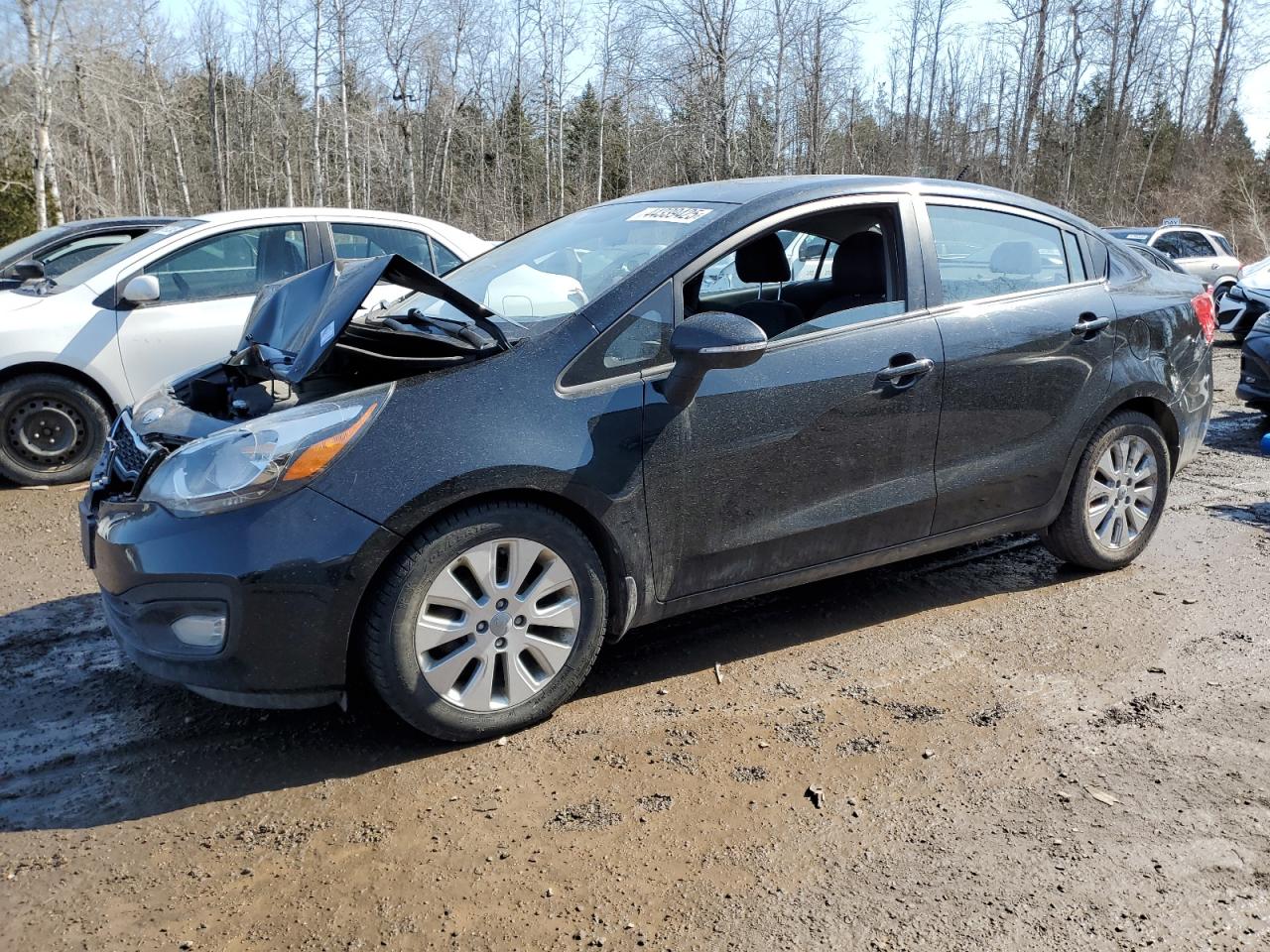 2014 Kia Rio - Image 1
