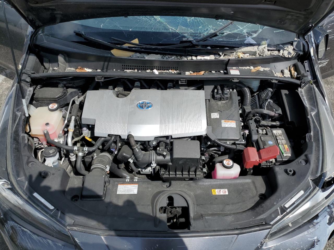 2019 Toyota Prius VIN: JTDKARFU3K3088810 Lot: 51188385