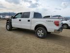 2013 Ford F150 Supercrew   for Sale in Helena, MT - Front End