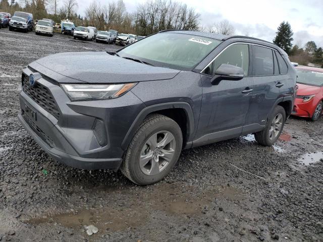 TOYOTA RAV4 2023 Szary
