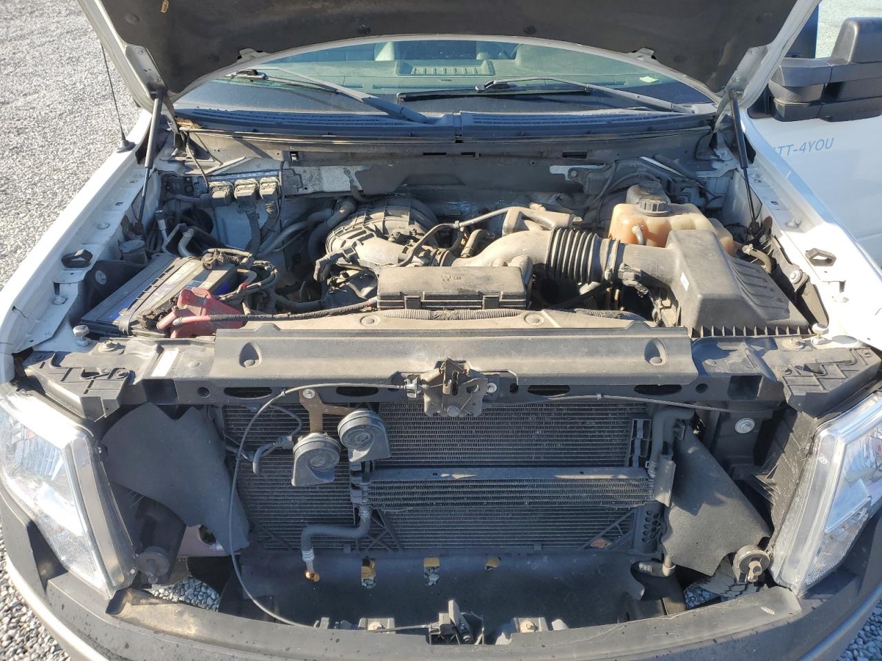 2013 Ford F150 VIN: 1FTMF1EM4DKE13051 Lot: 50920415