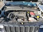 2023 Jeep Renegade Latitude for Sale in Marlboro, NY - All Over