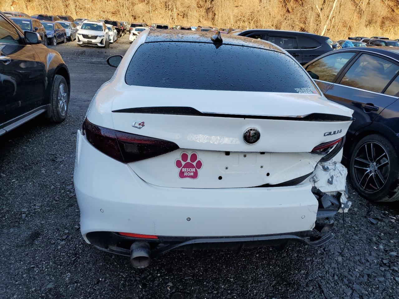 2019 Alfa Romeo Giulia - Image 6