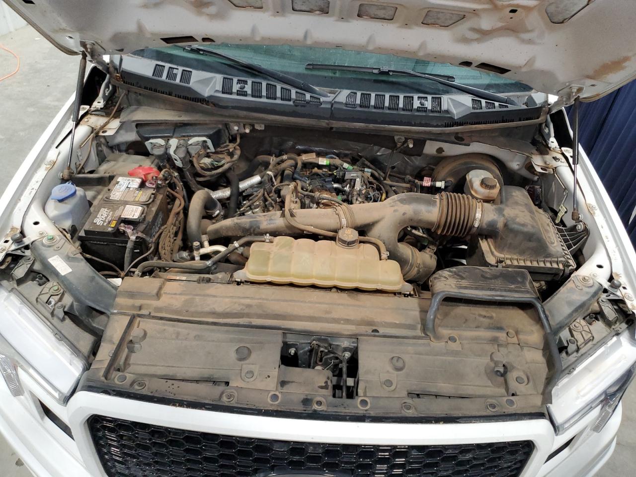 VIN: 1FTEW1CP3KFB11533 2019 FORD F-150