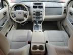 2011 Ford Escape Xlt for Sale in Louisville, KY - Top/Roof