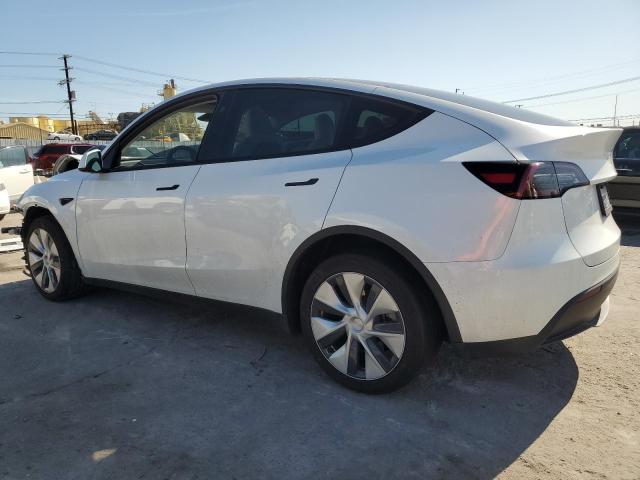  TESLA MODEL Y 2023 Белы
