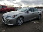 2019 Lexus Es 350 na sprzedaż w Chicago Heights, IL - Rear End