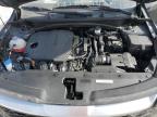 Madisonville, TN에서 판매 중인 2023 Kia Sportage Lx   - Water/Flood