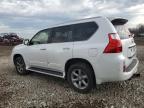 2013 Lexus Gx 460 Premium იყიდება Chicago Heights-ში, IL - Minor Dent/Scratches