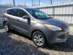 2013 Ford Escape Sel на продаже в Columbus, OH - Normal Wear
