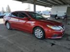 2017 Nissan Altima 2.5 na sprzedaż w Hayward, CA - Undercarriage