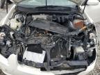 2004 Nissan Maxima Se for Sale in Walton, KY - Front End