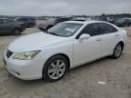 2008 Lexus Es 350 للبيع في Houston، TX - Hail