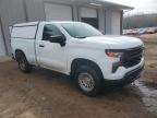 2023 Chevrolet Silverado C1500 de vânzare în Grenada, MS - Minor Dent/Scratches