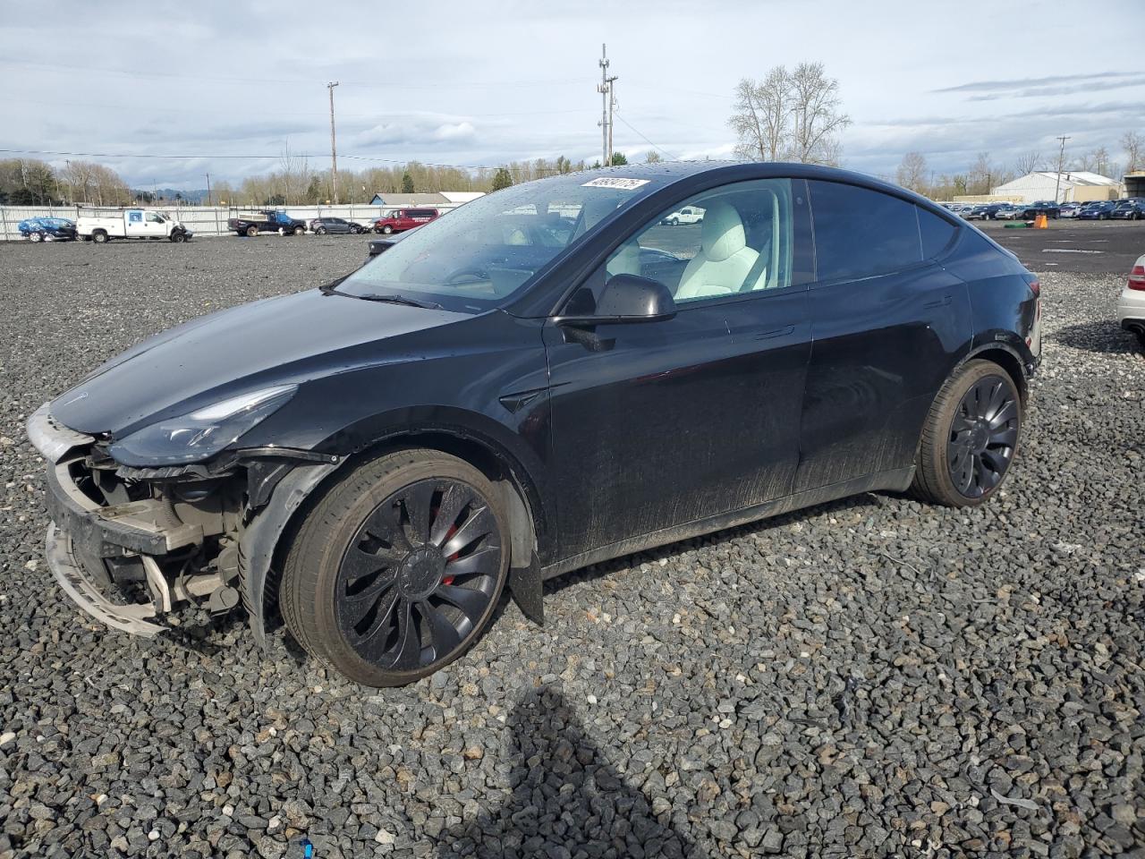 2022 Tesla Model Y for Sale in Portland, OR - All Over